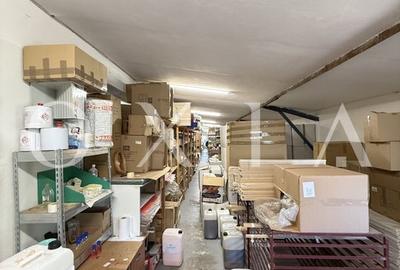 LX290 Hala Industriala Cu Teren Generos,  Bucovat LX290 Hala Industriala Cu Teren Generos,  Bucovat - 15