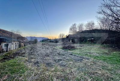 Teren intravilan, ?oimu?, 4600mp - 1