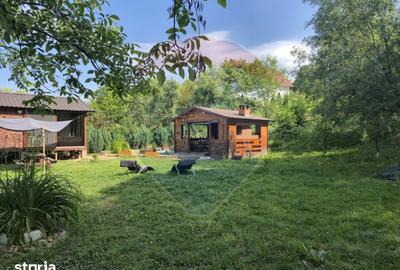 Casă cu 3 camere cu Teren 1268 Mp în Săpânța - 10