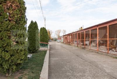 Hale, spatiu productie si depozitare 3187 mp si teren 9141 mp. - 2