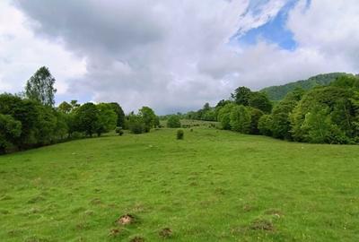 Spațiu comercial, în Mlăceni - 7