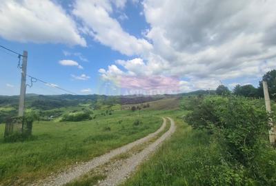 Teren agricol intravilan de 9037 mp, în Plaiul Tălii - 7