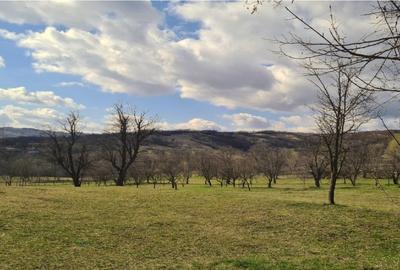 Teren Construcții intravilan de 800 mp, în Drajna