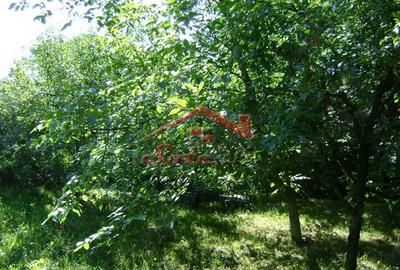 Teren de 2276 mp, în Vest - 13