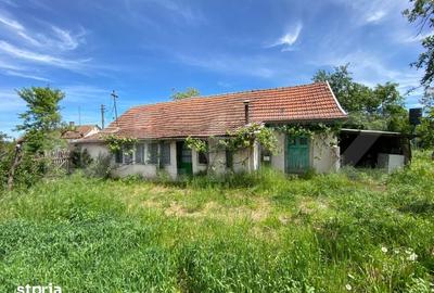 Casă cu 1 camere cu Teren 1500 Mp în Moșnița Nouă - 2
