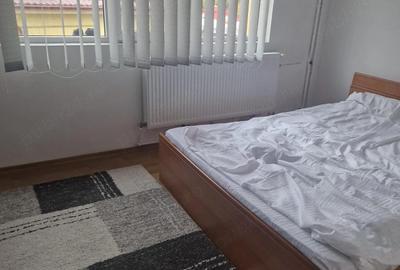 Apartament cu 2 camere semidecomandat în Brazda lui Novac - 2