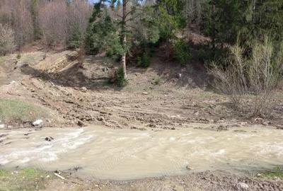 Teren de 22250 mp, în Voroneț - 4