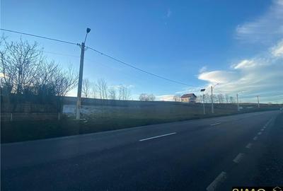 Teren de vanzare 80ml la E85 - 4