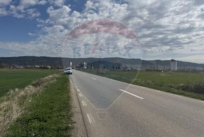 Teren Construcții extravilan de 8600 mp, în Luna de Jos - 8