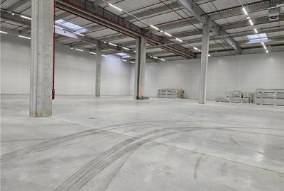Spatiu Industrial - 6000 mp - Logistica - Productie - Depozitare - Distributie - 7