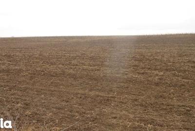 Teren de 2000 mp, în Negrilești - 4