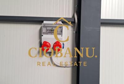 Hala de vanzare in Racari de Jos - 9