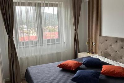 Apartament cu 2 camere semidecomandat, mobilat în Noua - 3
