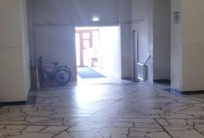 Comision 0%-spatiu comercial 541 mp.b-dul Dragalina-Iosefin Comision 0%-spatiu comercial 541 mp.b-dul Dragalina-Iosefin - 2