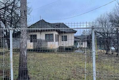 Casă cu Teren 1100 Mp în Ulmetu - 5