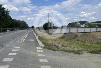 Teren Construcții intravilan de 6668 mp, în Rășinari - 7