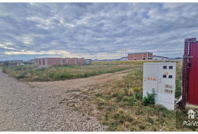 Teren Construcții intravilan de 600 mp, în Tărlungeni