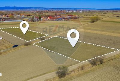 Teren de 3700 mp, în Prejmer