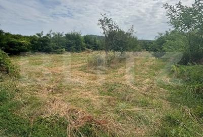 Teren Construcții intravilan de 1368 mp, în Vulcana-Pandele