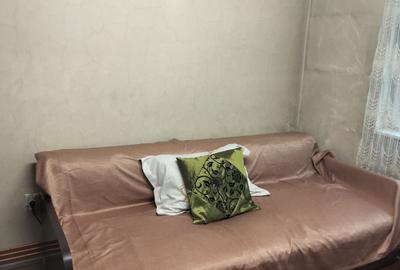 Apartament cu 2 camere nedecomandat în Central - 1