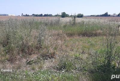 Teren de 5000 mp, în Balotești