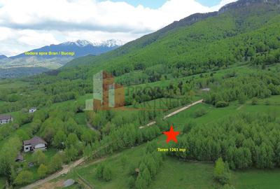 Teren Construcții intravilan de 5261 mp, în Tohănița - 5