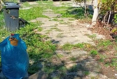 Casă cu 3 camere în Sânandrei - 1