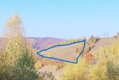 Teren de 3760 mp, în Poiana Mărului - 1