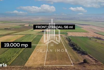 Teren de 19000 mp, în Ghidfalău