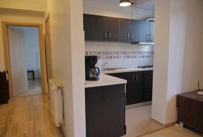 Apartament cu 2 camere semidecomandat în Bucureștii Noi - 2