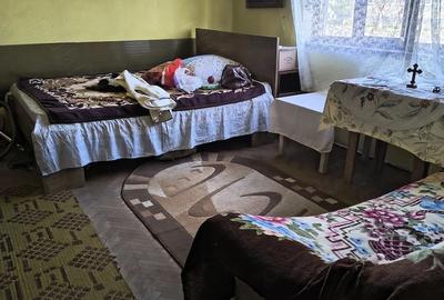 Casă cu 3 camere cu Teren 2900 Mp în Gavojdia - 3