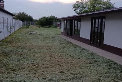 Casă cu 3 camere în Cazasu - 7