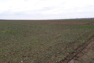 Teren intravilan de 29100 mp, în Sântandrei