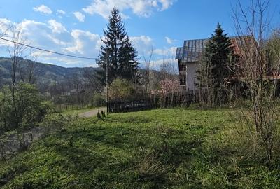 Teren Construcții intravilan de 1800 mp, în Brebu Megieșesc - 10