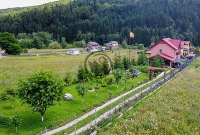 Casă individuală cu 3 camere cu Teren 1189 Mp în Cheia - 8
