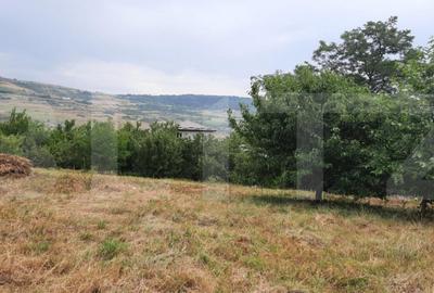 Teren de 2000 mp, în Central - 3