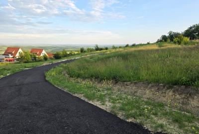 Teren Construcții intravilan de 1000 mp, în Aiton - 5