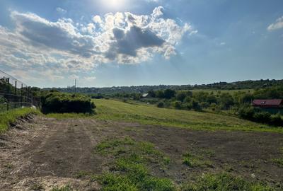 Teren Construcții de 8000 mp, în Daia Nouă - 2