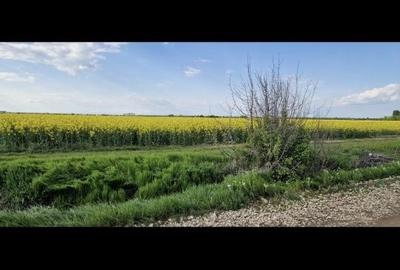 Teren de 600 mp, în Colacu - 4