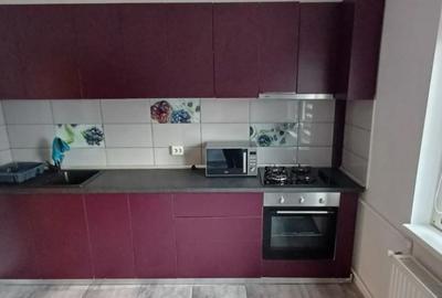 Apartament cu 2 camere semidecomandat, mobilat în P-ța Sfinții Voievozi - 6