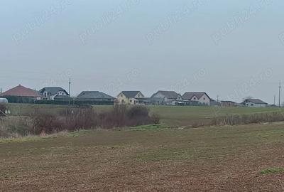 Teren de 558 mp, în Livada de Bihor - 4