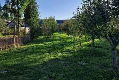 Casă cu 4 camere cu Teren 1400 Mp în Nimigea - 1