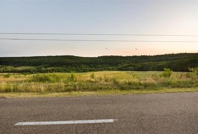 Teren Construcții intravilan de 11500 mp, în Lăzăreni - 5
