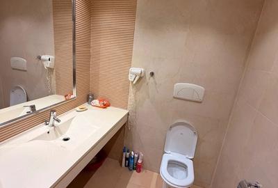 Garsonieră nedecomandată în Vitan