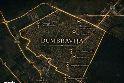 Spațiu comercial, în Dumbrăvița