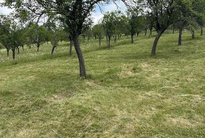 Teren de 27510 mp, în Teregova - 2