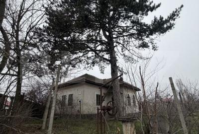 Casă cu 3 camere cu Teren 2714 Mp în Dobrești - 2