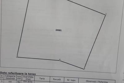 Teren de 550 mp, în Poieni - 5
