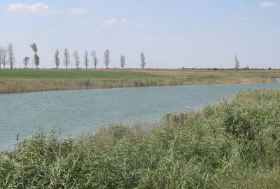 Teren de 430000 mp, în Crunți - 1