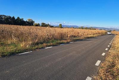 Teren de 7526 mp, în Băcia